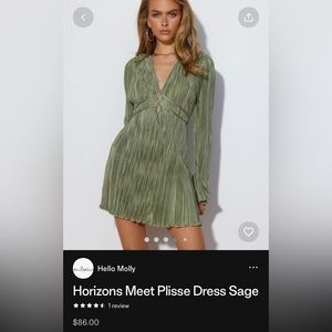Hello Molly- Horizons Meet Plisse Dress Sage - XL